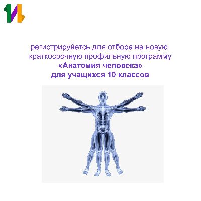 Изучать богатый внутренний мир: не пропустите регистрацию на первую программу «Интеллекта» по анатомии